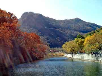 盧布匯率最新動(dòng)態(tài)，今日市場(chǎng)波動(dòng)情報(bào)速遞