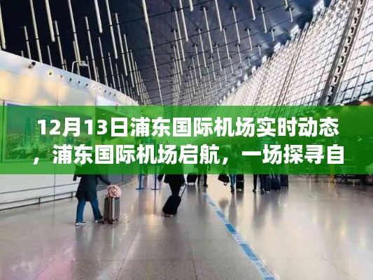浦東國(guó)際機(jī)場(chǎng)啟航，探尋自然美景的心靈之旅實(shí)時(shí)動(dòng)態(tài)
