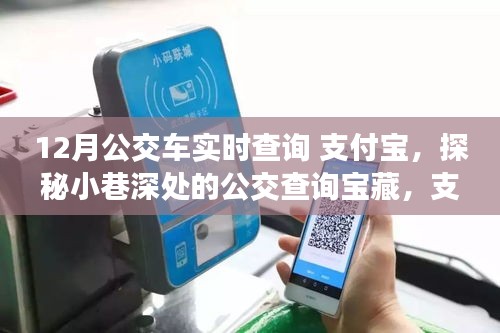 支付寶帶你領(lǐng)略公交查詢寶藏，探秘小巷深處，實(shí)時(shí)掌握公交動(dòng)態(tài)