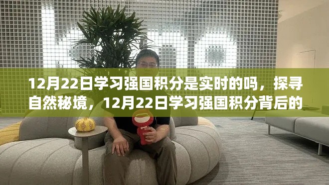 探尋自然秘境，學(xué)習(xí)強(qiáng)國(guó)積分背后的寧靜之旅——實(shí)時(shí)積分背后的秘密