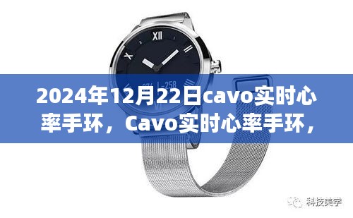 Cavo實(shí)時心率手環(huán)，2024年的健康守護(hù)之星