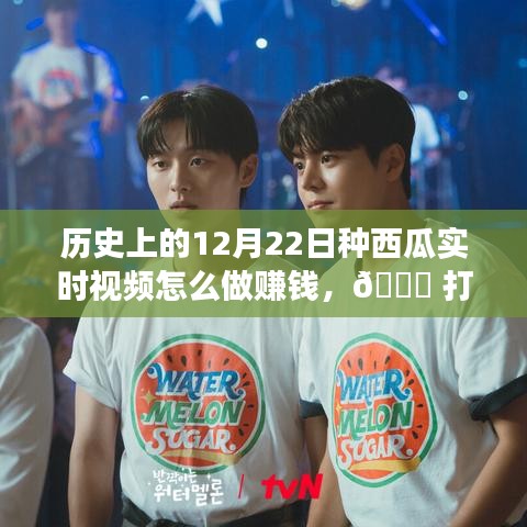 歷史上的12月22日種西瓜實時視頻，打破時空界限的種植賺錢新體驗！