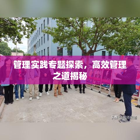 管理實(shí)踐專題探索，高效管理之道揭秘