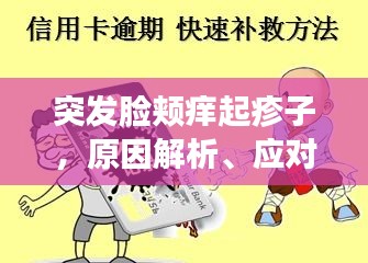 突發(fā)臉頰癢起疹子，原因解析、應(yīng)對方法與預(yù)防策略