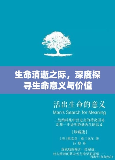 生命消逝之際，深度探尋生命意義與價值