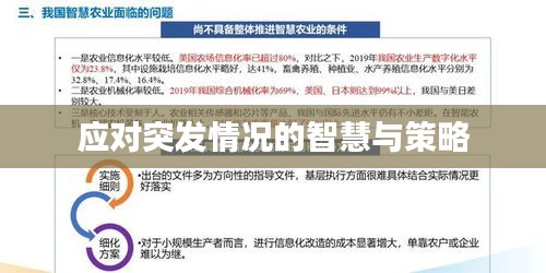 應對突發(fā)情況的智慧與策略