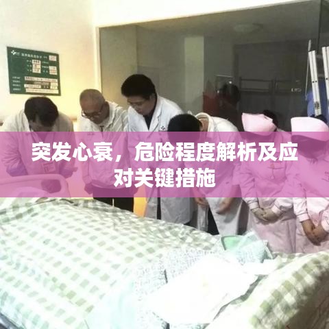 突發(fā)心衰，危險程度解析及應(yīng)對關(guān)鍵措施
