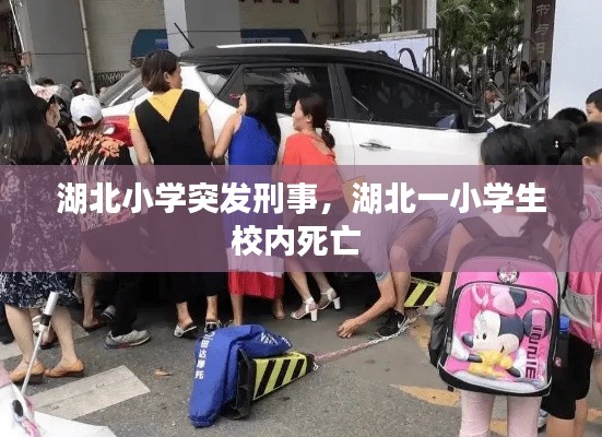 湖北小學(xué)突發(fā)刑事，湖北一小學(xué)生校內(nèi)死亡 