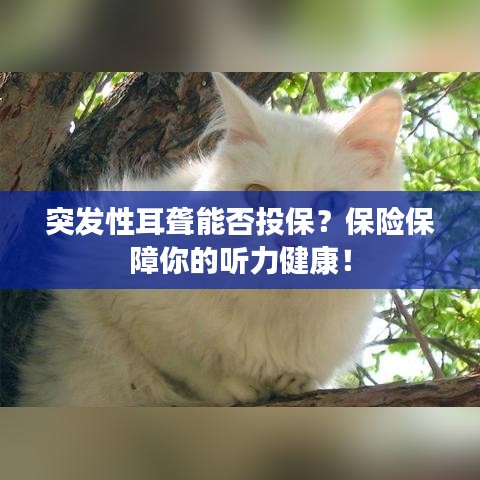突發(fā)性耳聾能否投保？保險(xiǎn)保障你的聽(tīng)力健康！