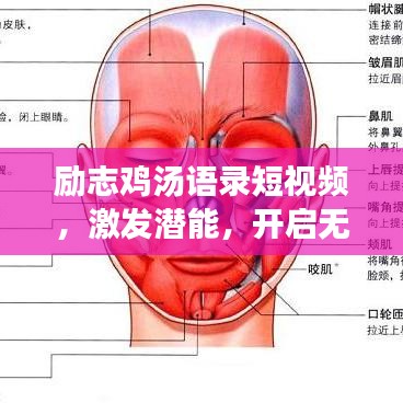 勵志雞湯語錄短視頻，激發(fā)潛能，開啟無限力量之源
