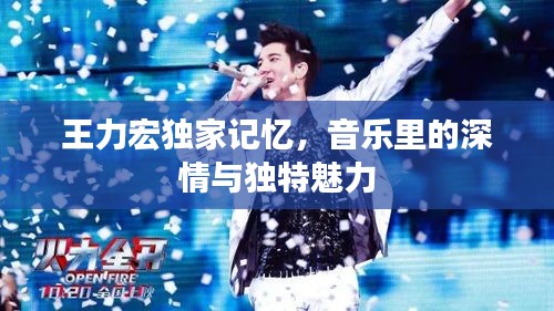 王力宏獨(dú)家記憶，音樂里的深情與獨(dú)特魅力