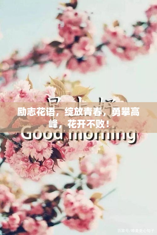 勵(lì)志花語(yǔ)，綻放青春，勇攀高峰，花開(kāi)不?。? class=