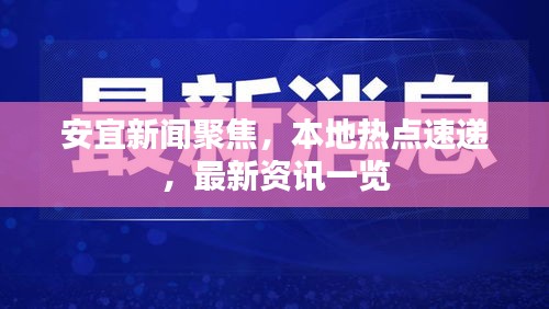 安宜新聞聚焦，本地熱點速遞，最新資訊一覽