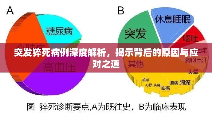 突發(fā)猝死病例深度解析，揭示背后的原因與應(yīng)對(duì)之道