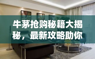 牛茅搶購秘籍大揭秘，最新攻略助你輕松掌握搶購訣竅！