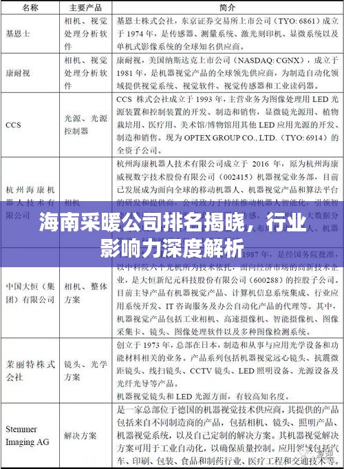 海南采暖公司排名揭曉，行業(yè)影響力深度解析