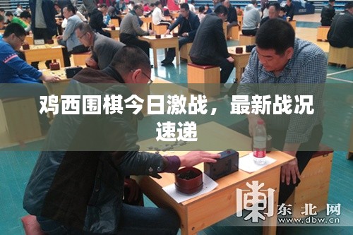 雞西圍棋今日激戰(zhàn)，最新戰(zhàn)況速遞