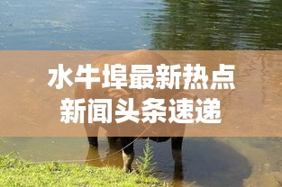 設身處地